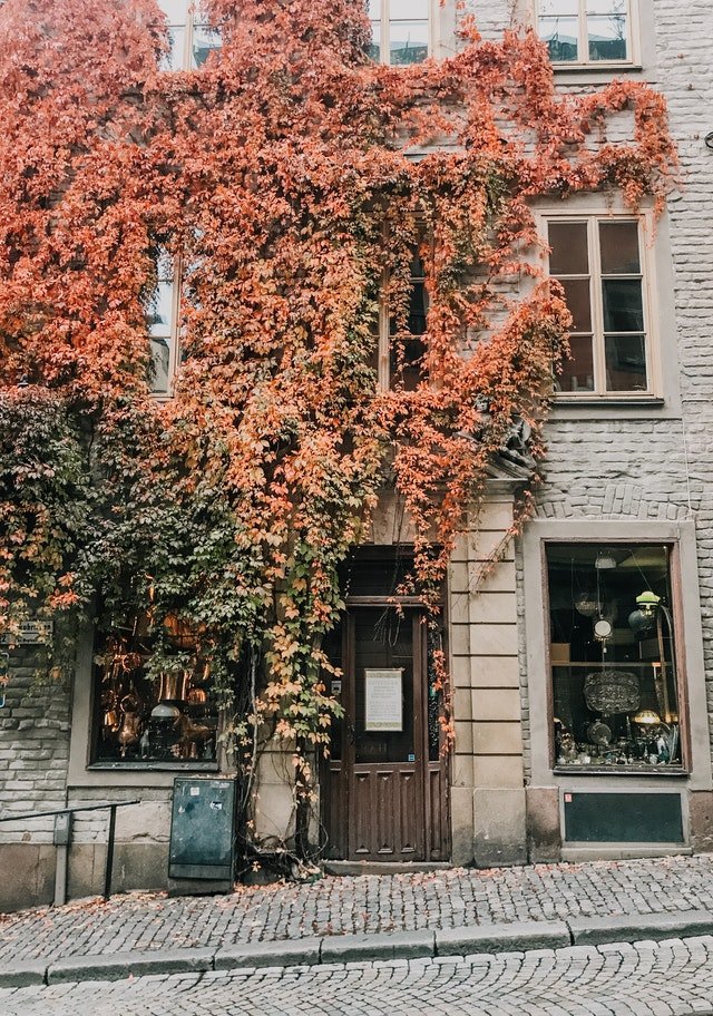 4 Charming City Walks for Autumn